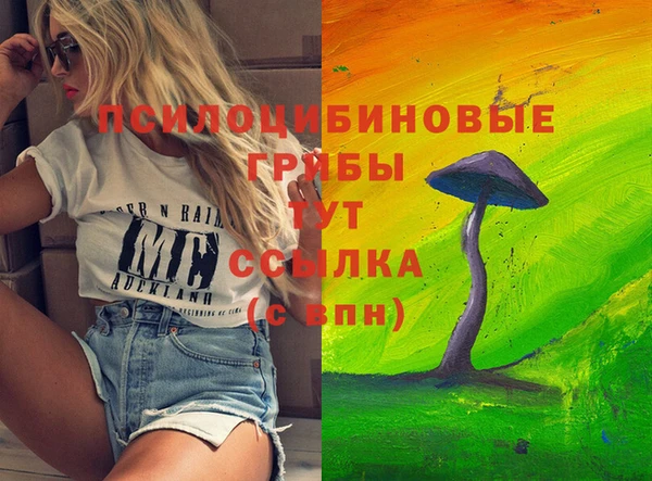 гидра Алзамай