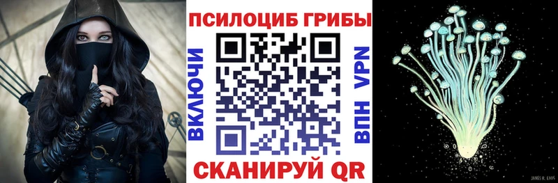 Галлюциногенные грибы MAGIC MUSHROOMS даркнет сайт mega как войти Дмитров